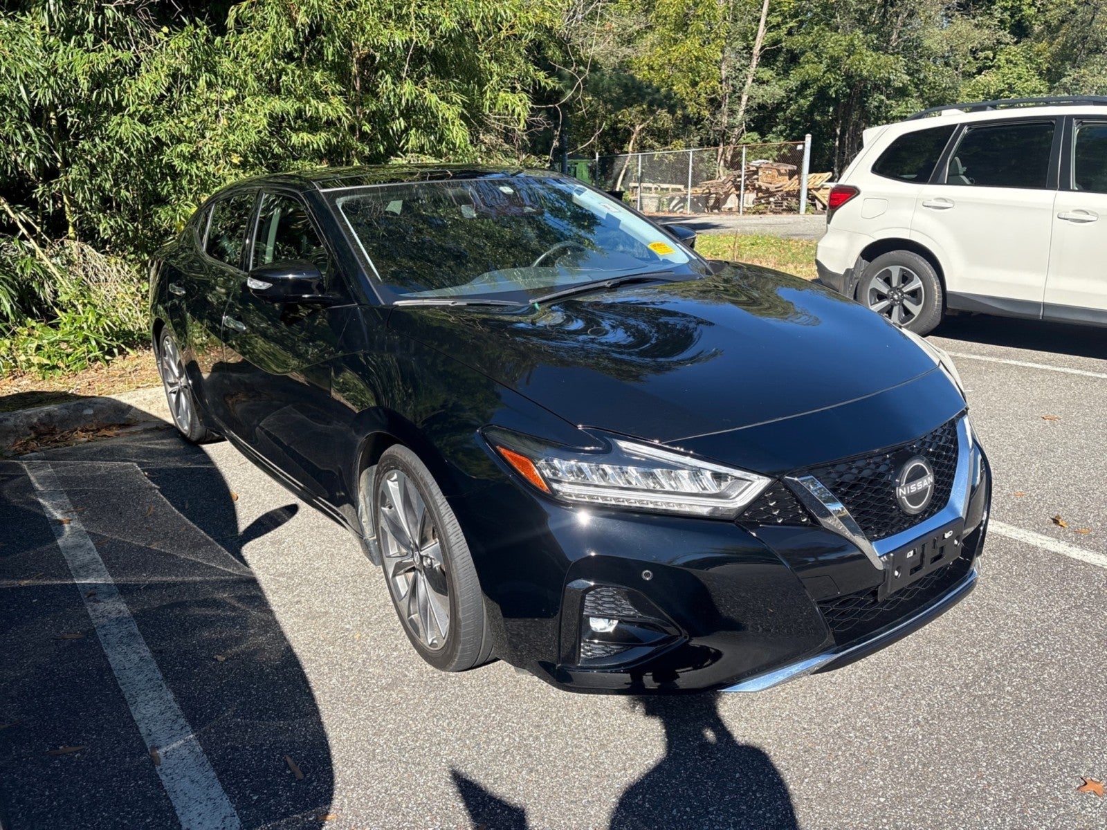 2023 Nissan Maxima Platinum