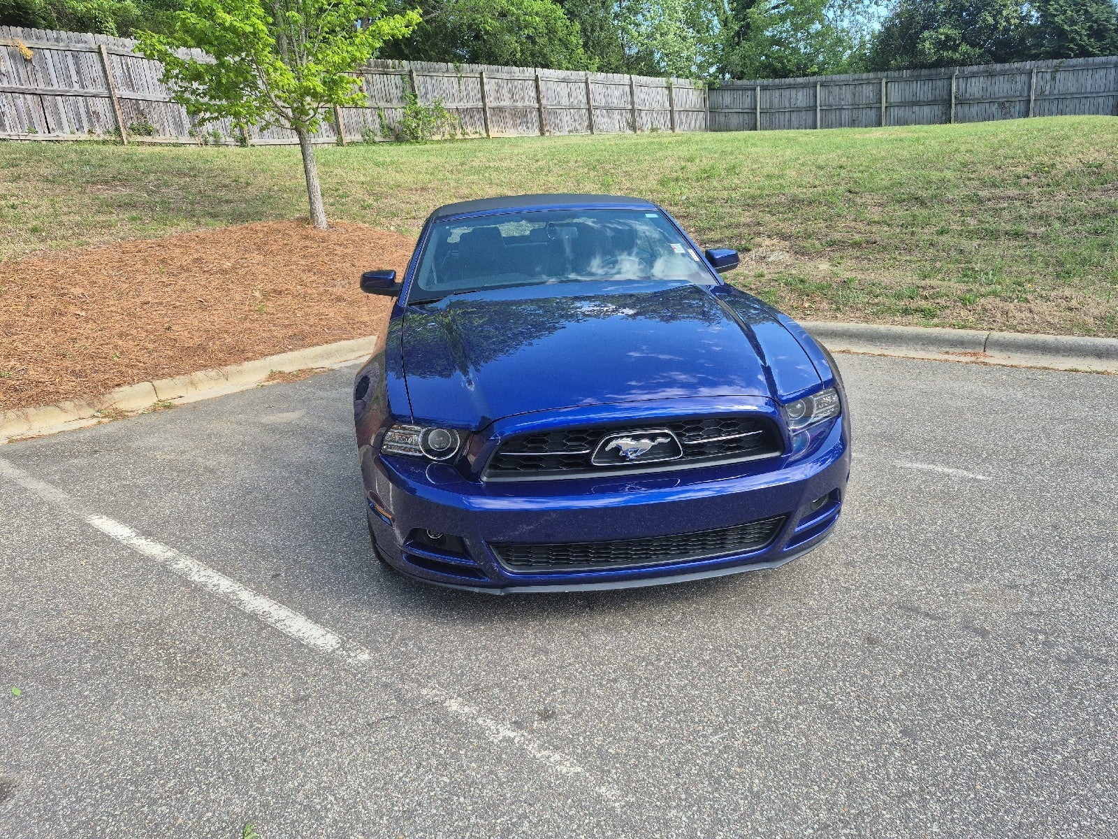 Used 2013 Ford Mustang V6 Premium with VIN 1ZVBP8EM6D5258138 for sale in High Point, NC