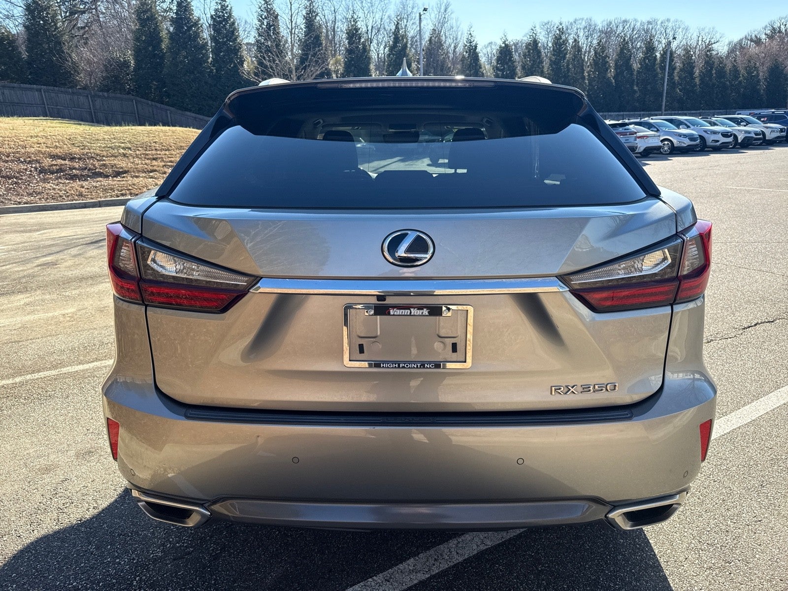 2019 Lexus RX RX 350