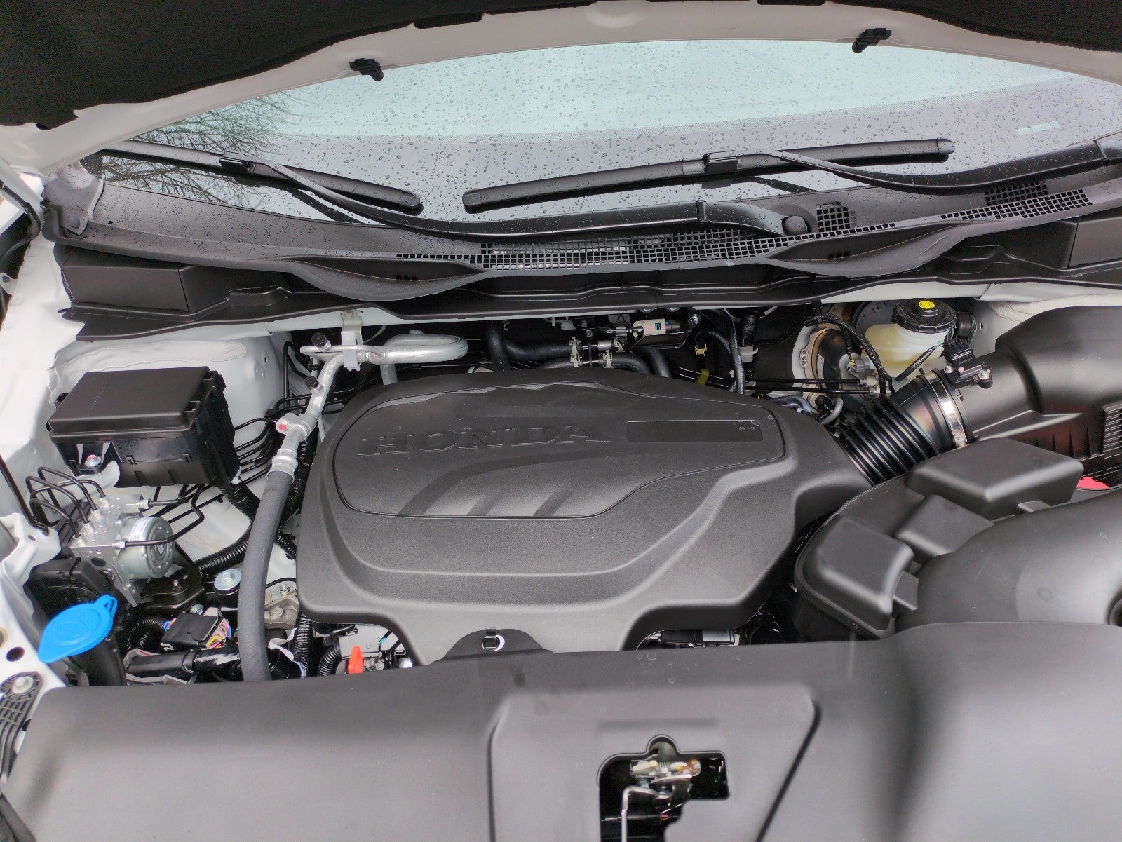 2026 Honda Odyssey Sport-L