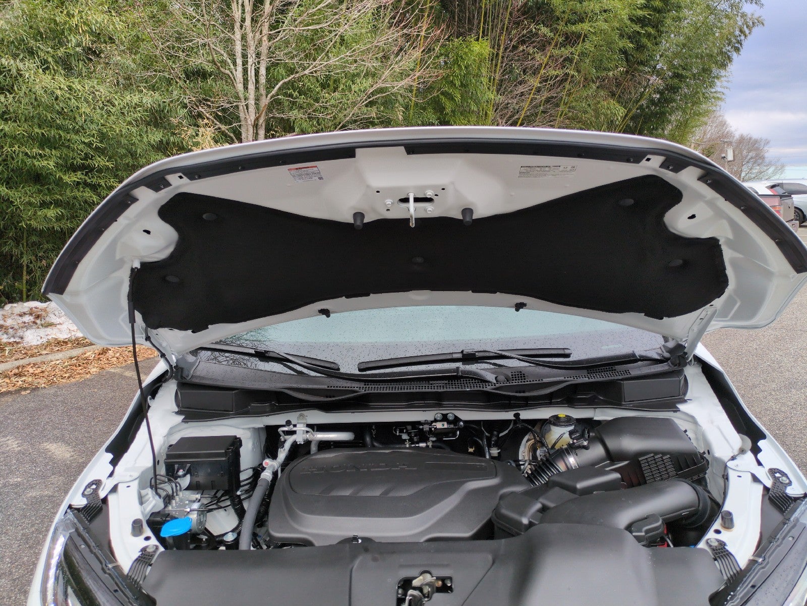 2026 Honda Odyssey Sport-L