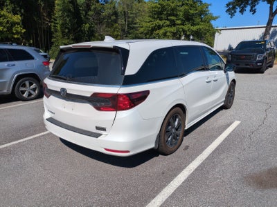 2024 Honda Odyssey Sport
