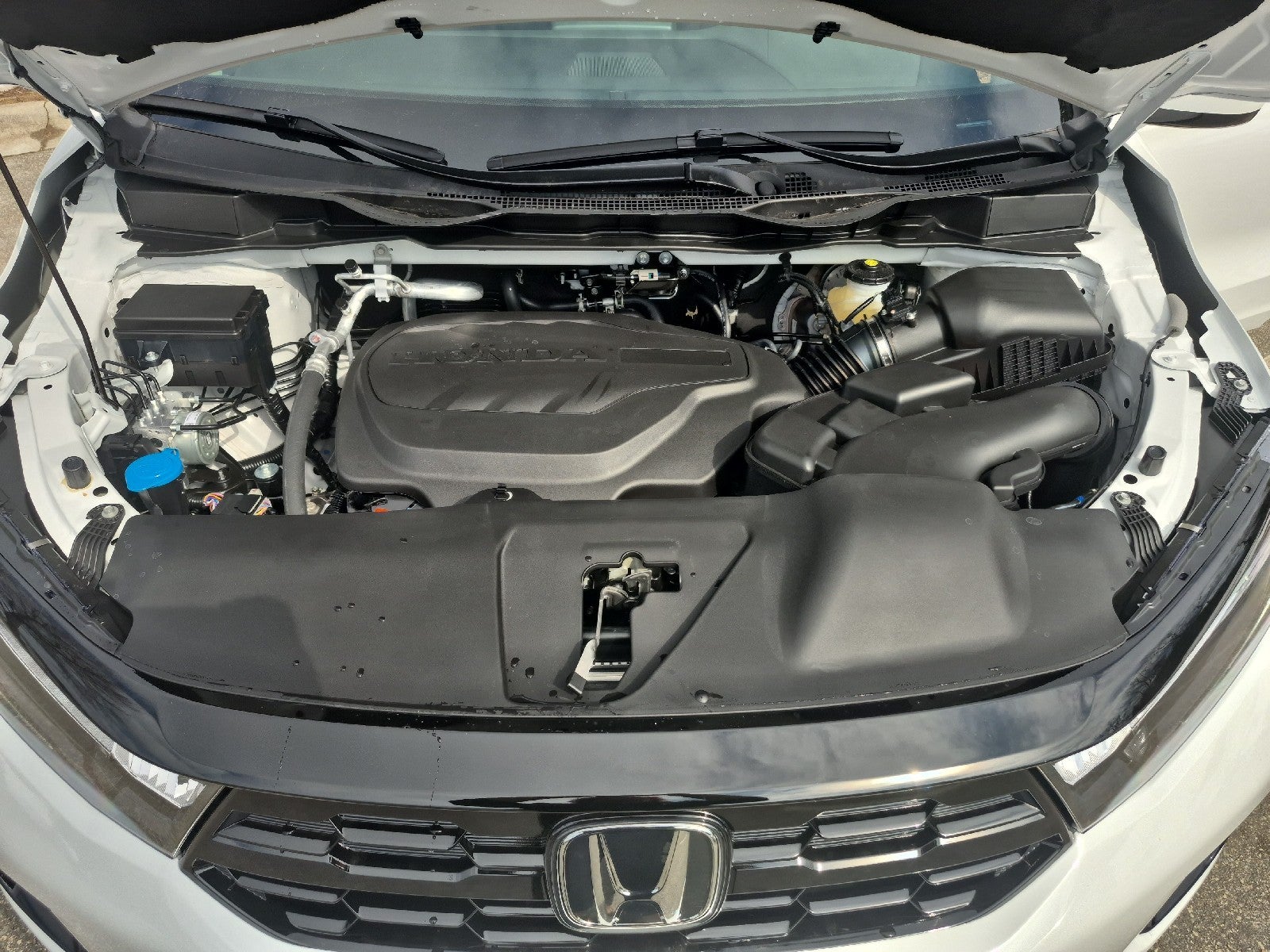 2026 Honda Odyssey Elite