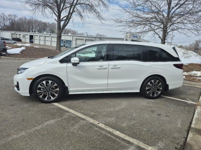 2026 Honda Odyssey Elite