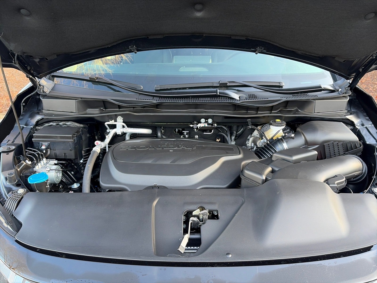 2026 Honda Odyssey Elite