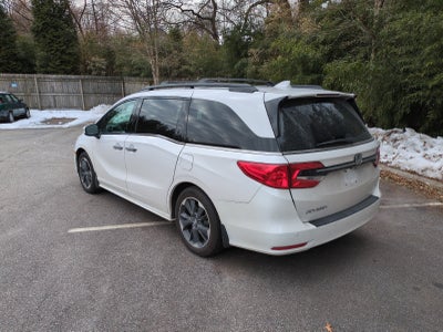2024 Honda Odyssey Elite