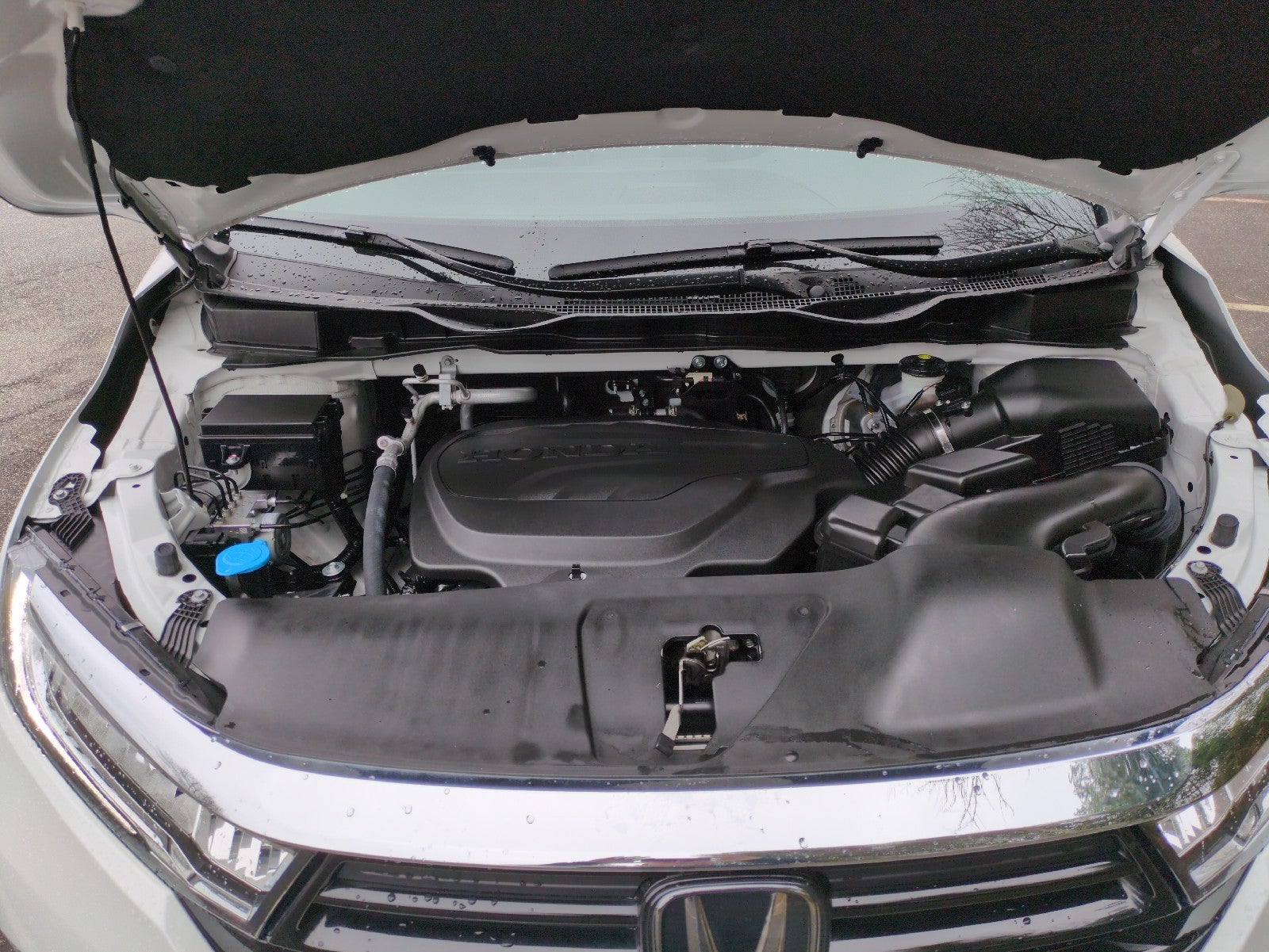 2024 Honda Odyssey Elite