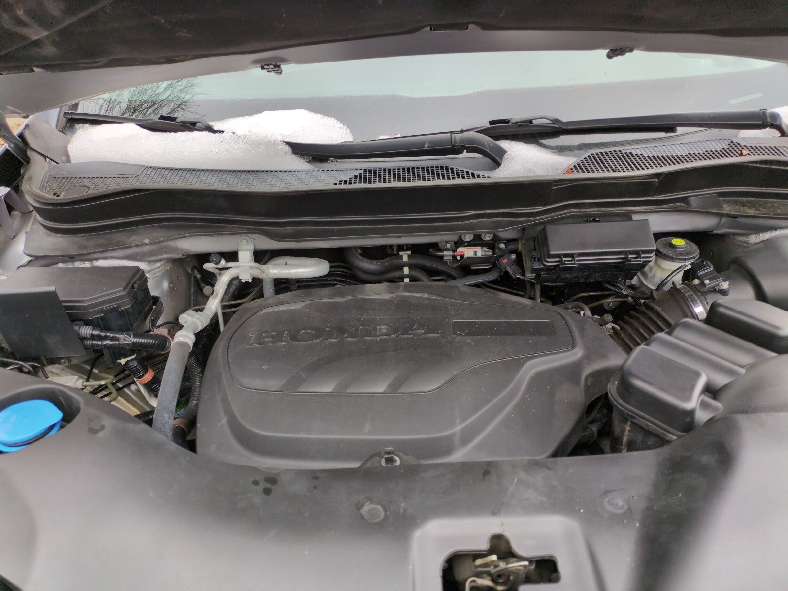 2021 Honda Pilot Special Edition