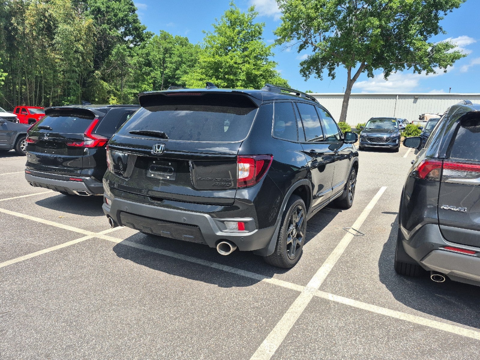 2025 Honda Passport Black Edition