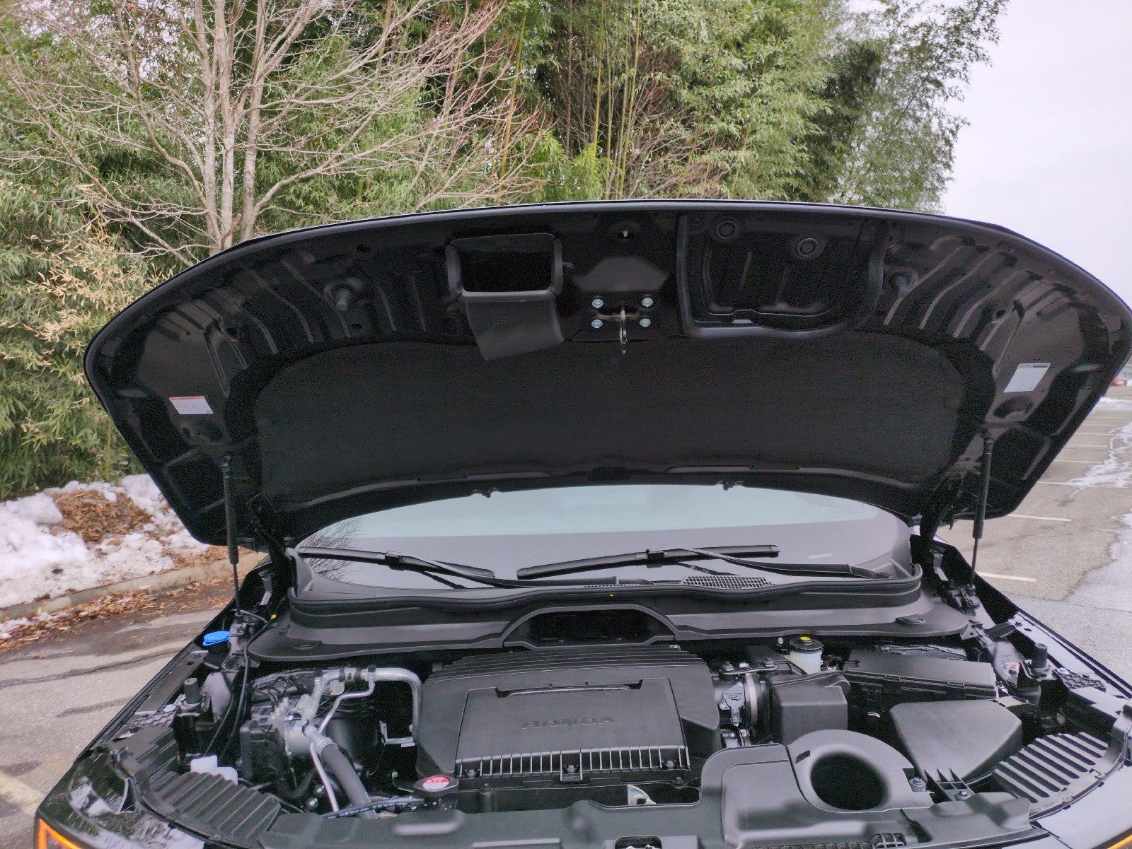 2026 Honda Passport TrailSport Elite