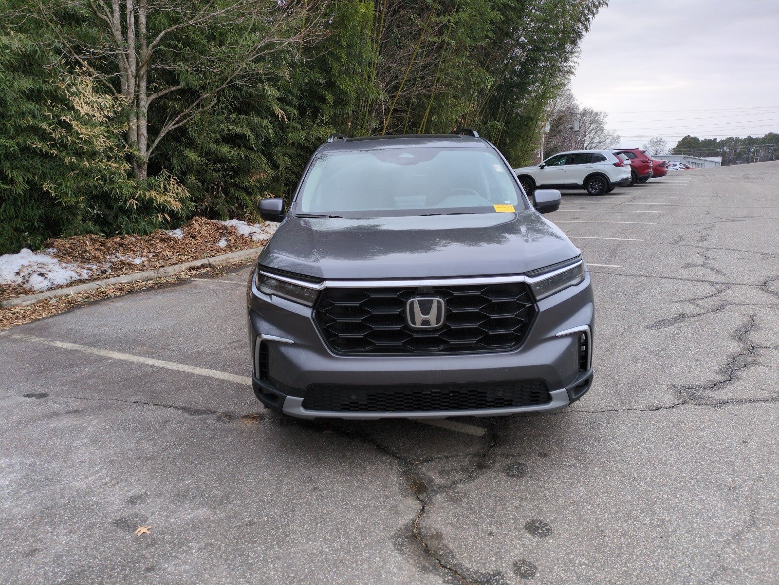 2023 Honda Pilot Elite