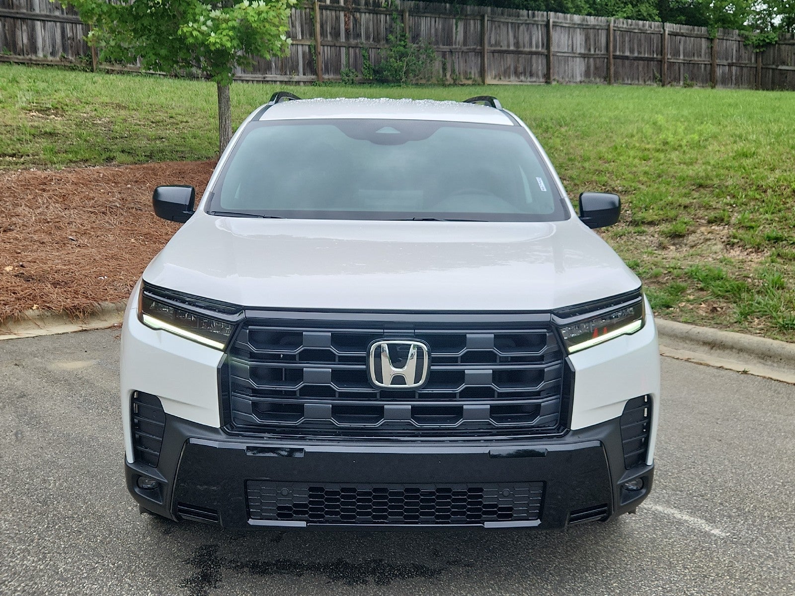 2026 Honda Pilot Sport