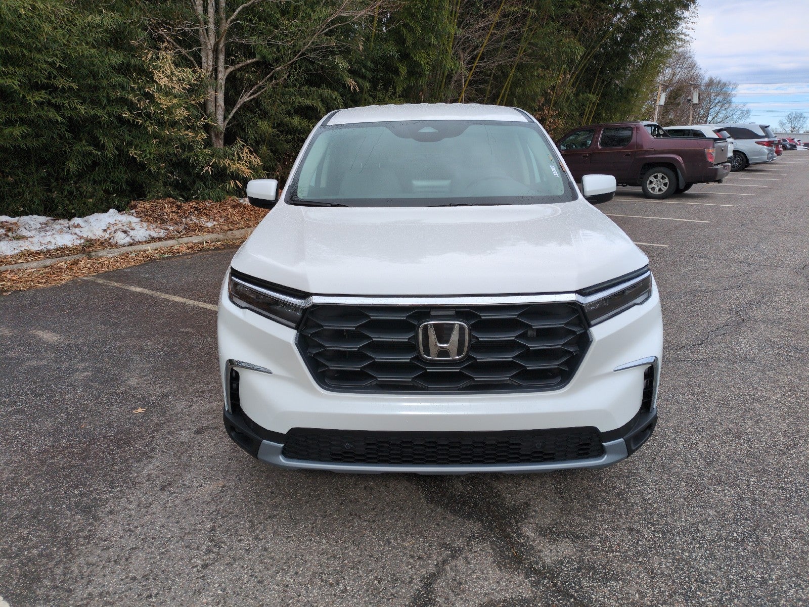 2025 Honda Pilot EX-L