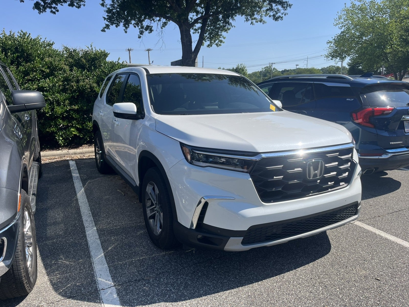 2024 Honda Pilot EX-L 8 Passenger