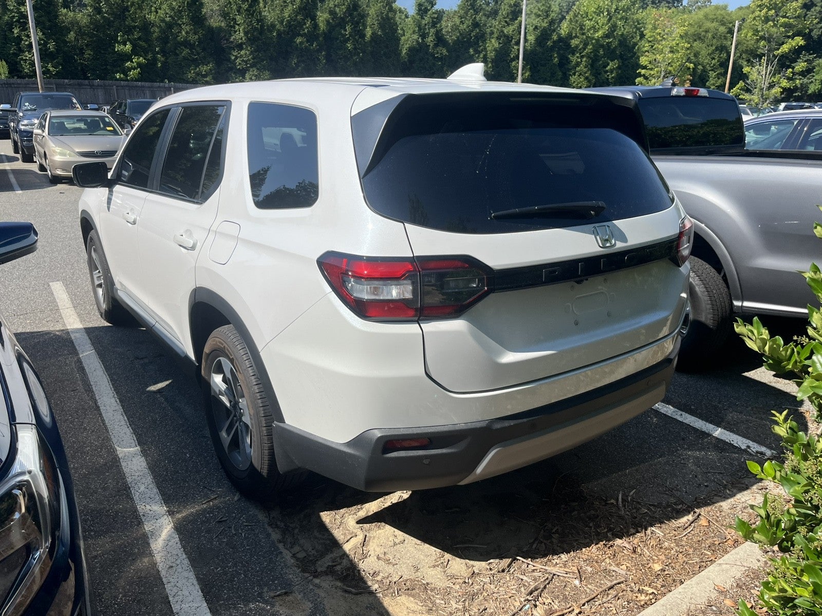2024 Honda Pilot EX-L 8 Passenger