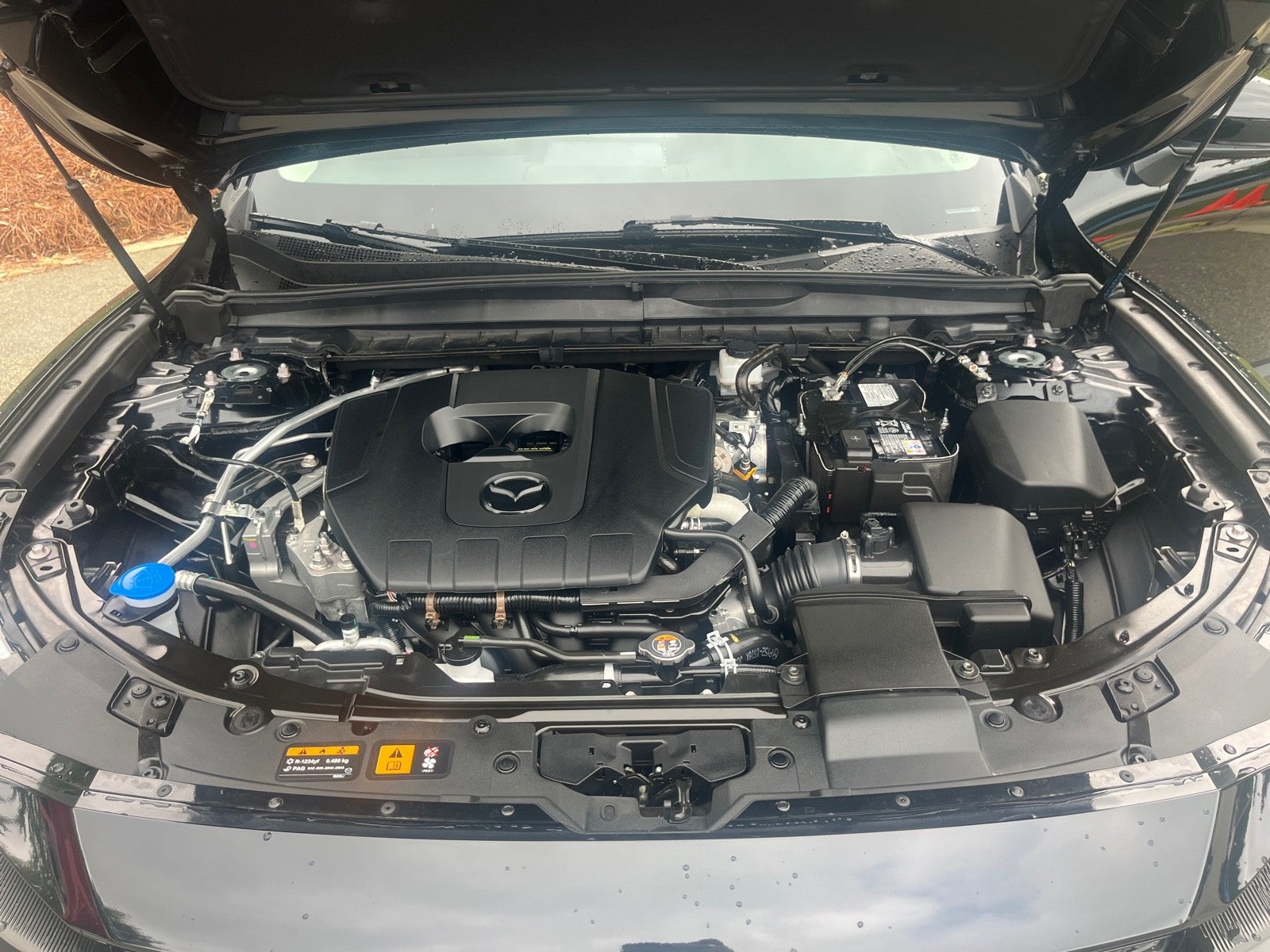 2025 Mazda Mazda CX-50 2.5 S Preferred Package